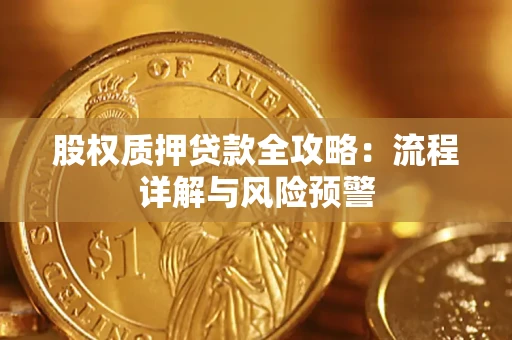 武汉股权质押贷款全攻略：流程详解与风险预警