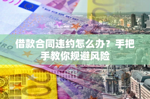 武汉借款合同违约怎么办？手把手教你规避风险