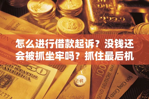 武汉怎么进行借款起诉？没钱还会被抓坐牢吗？抓住最后机会！