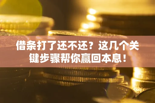 武汉借条打了还不还？这几个关键步骤帮你赢回本息！