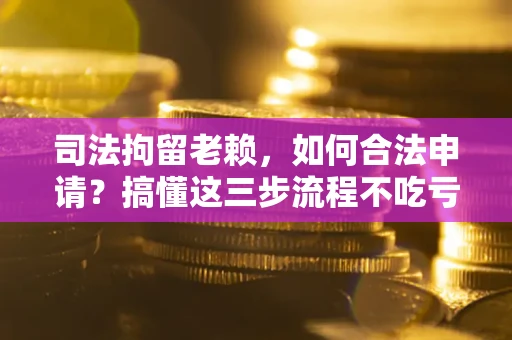 武汉司法拘留老赖，如何合法申请？搞懂这三步流程不吃亏！
