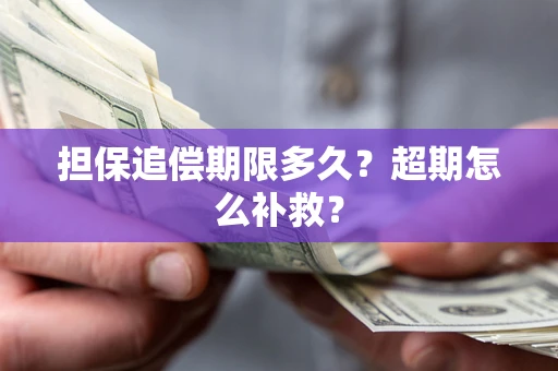 武汉担保追偿期限多久？超期怎么补救？