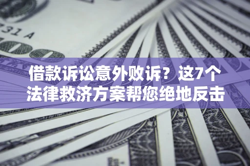 武汉借款诉讼意外败诉？这7个法律救济方案帮您绝地反击！