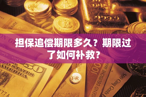 武汉担保追偿期限多久？期限过了如何补救？