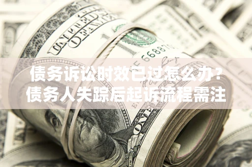 武汉债务诉讼时效已过怎么办？债务人失踪后起诉流程需注意什么？