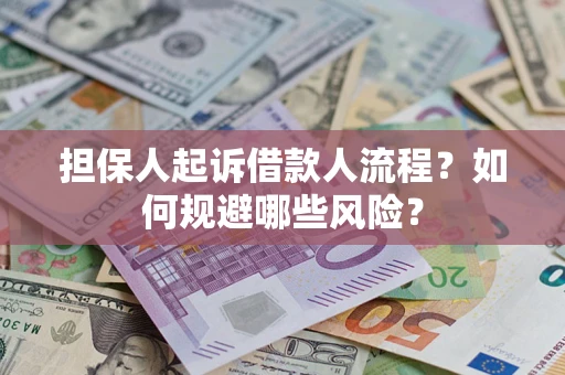 武汉担保人起诉借款人流程？如何规避哪些风险？