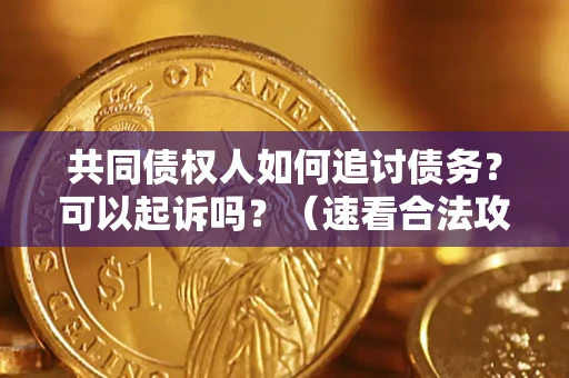 武汉共同债权人如何追讨债务？可以起诉吗？（速看合法攻略）