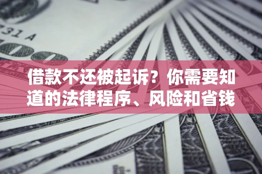 武汉借款不还被起诉？你需要知道的法律程序、风险和省钱技巧