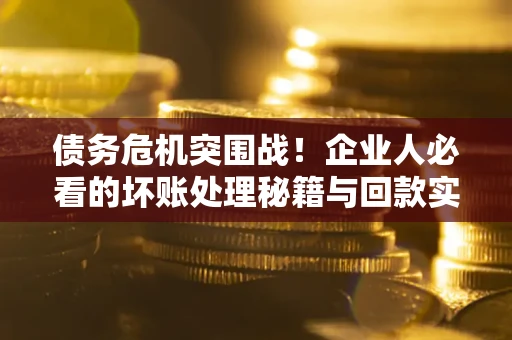 武汉债务危机突围战！企业人必看的坏账处理秘籍与回款实战指南